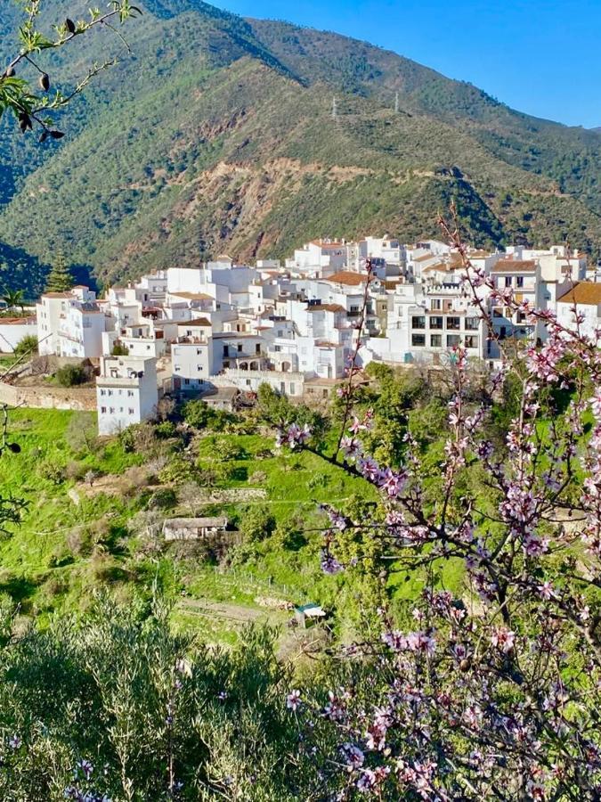 Casa Rural Manantial De Las Jaras Istán Eksteriør billede